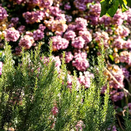 Rooftop & Konukevi Dubrovnik